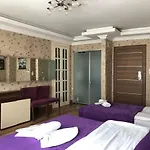 Ξενοδοχείο Sarajevo Taksim 4*