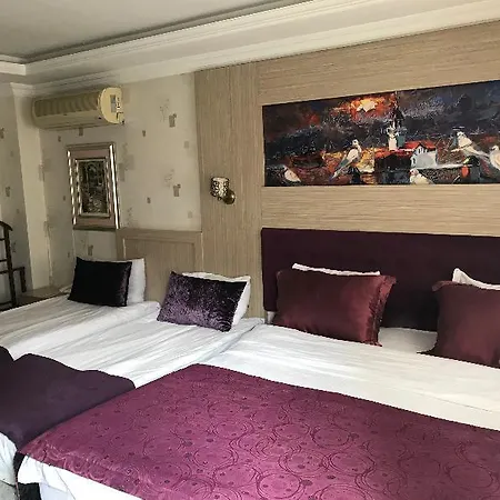 Sarajevo Taksim 酒店 4*