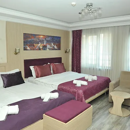 酒店 Sarajevo Taksim 4*