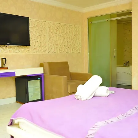 Hotel Saray