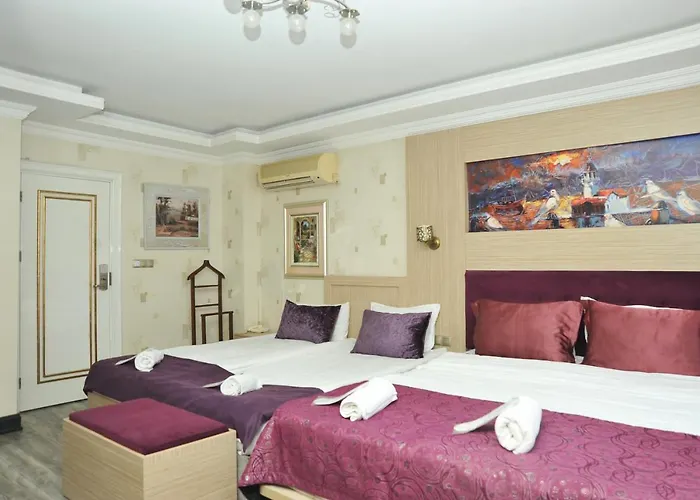 호텔 Sarajevo Taksim 4*